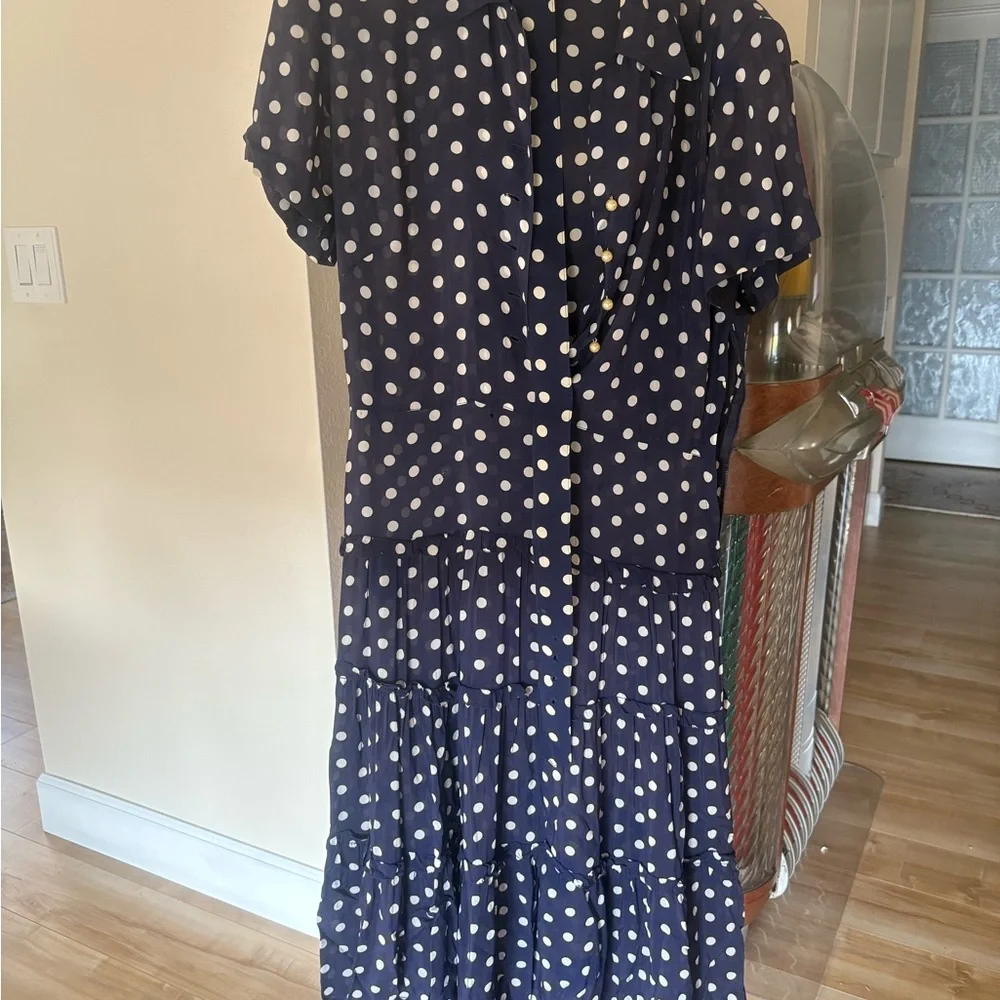 Navy Blue and White Polka Dot Shirtwaist Dress - Picture 11 of 11